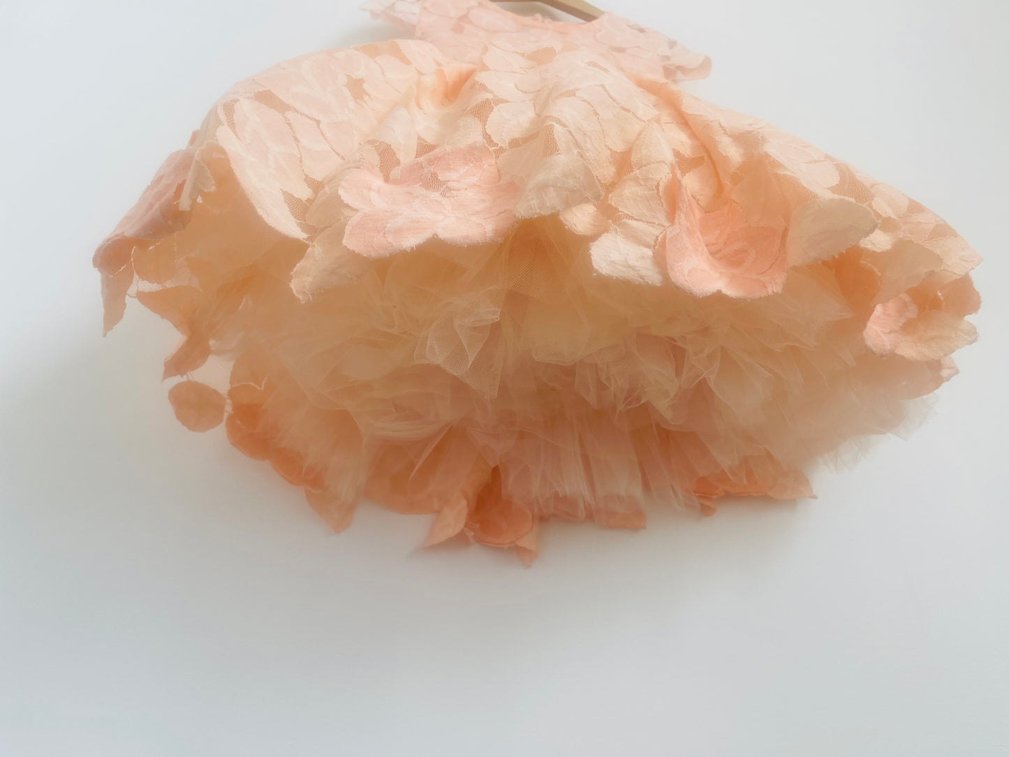 The light peach Annabelle