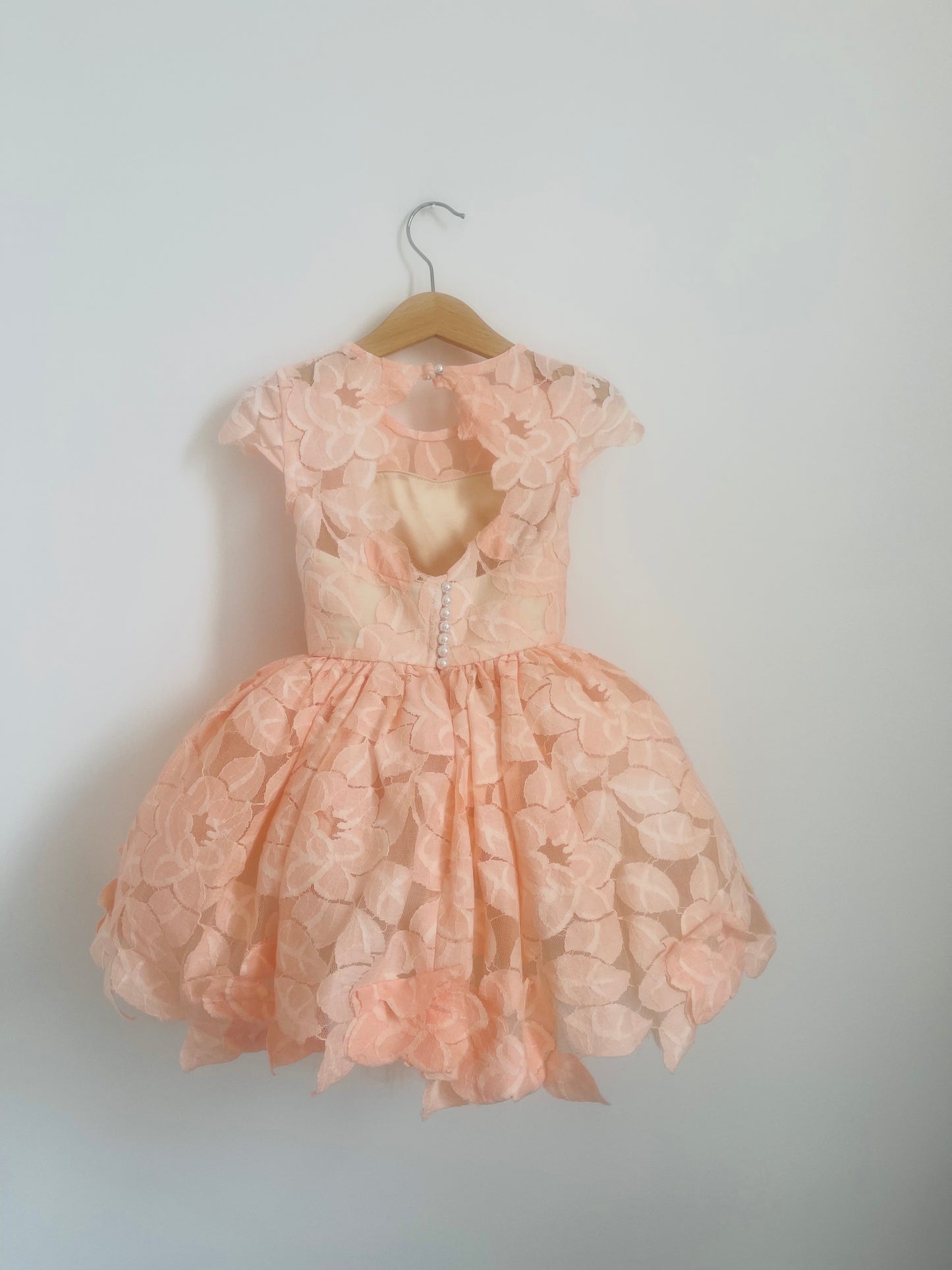 The light peach Annabelle