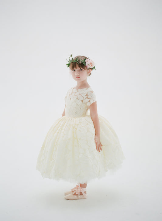 Timeless Elegance: The Classic Flower Girl Dress for 2024/2025