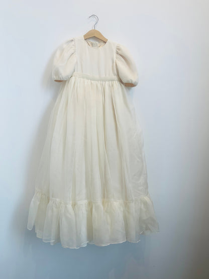 Organza & Silk Chiffon Nightgown Silhouette Dress