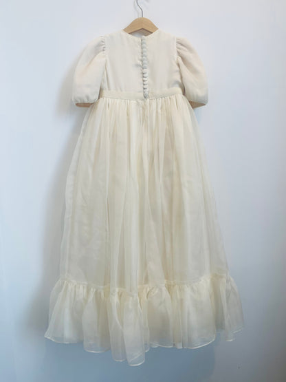 Organza & Silk Chiffon Nightgown Silhouette Dress